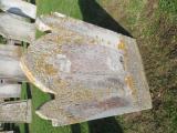 image number C8_115